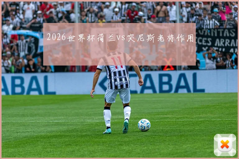 2026世界杯荷兰vs突尼斯老将作用