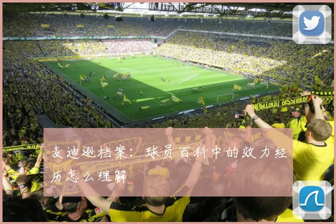 麦迪逊档案：球员百科中的效力经历怎么理解